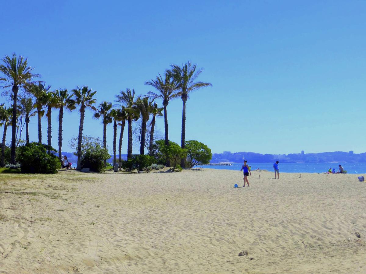 Pins Marina | Rentalmar
