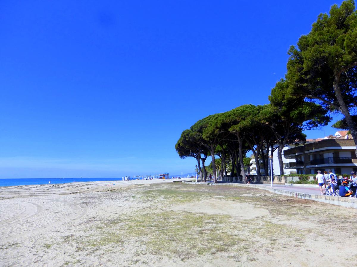 Pins Marina | Rentalmar